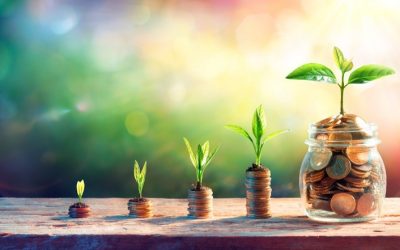 Vom Kostenprojekt zum lebenden System